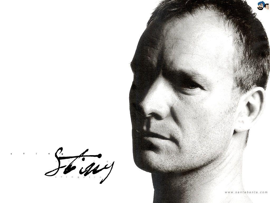 1030x770 Sting image Sting HD wallpaper and background photo, Desktop