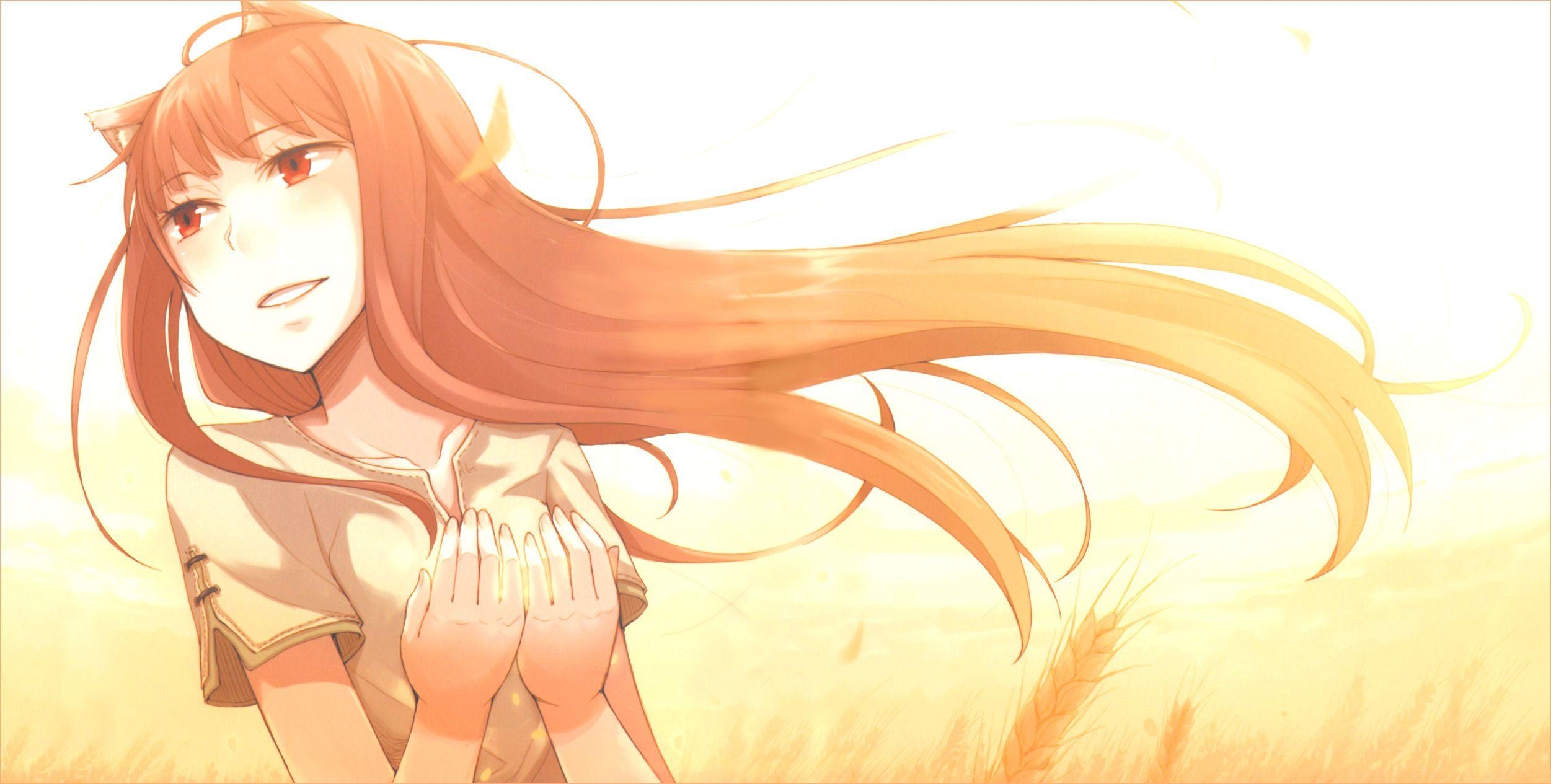 2510x1270 Spice And Wolf Wallpaper HD Download. Spice and Wolf, Desktop