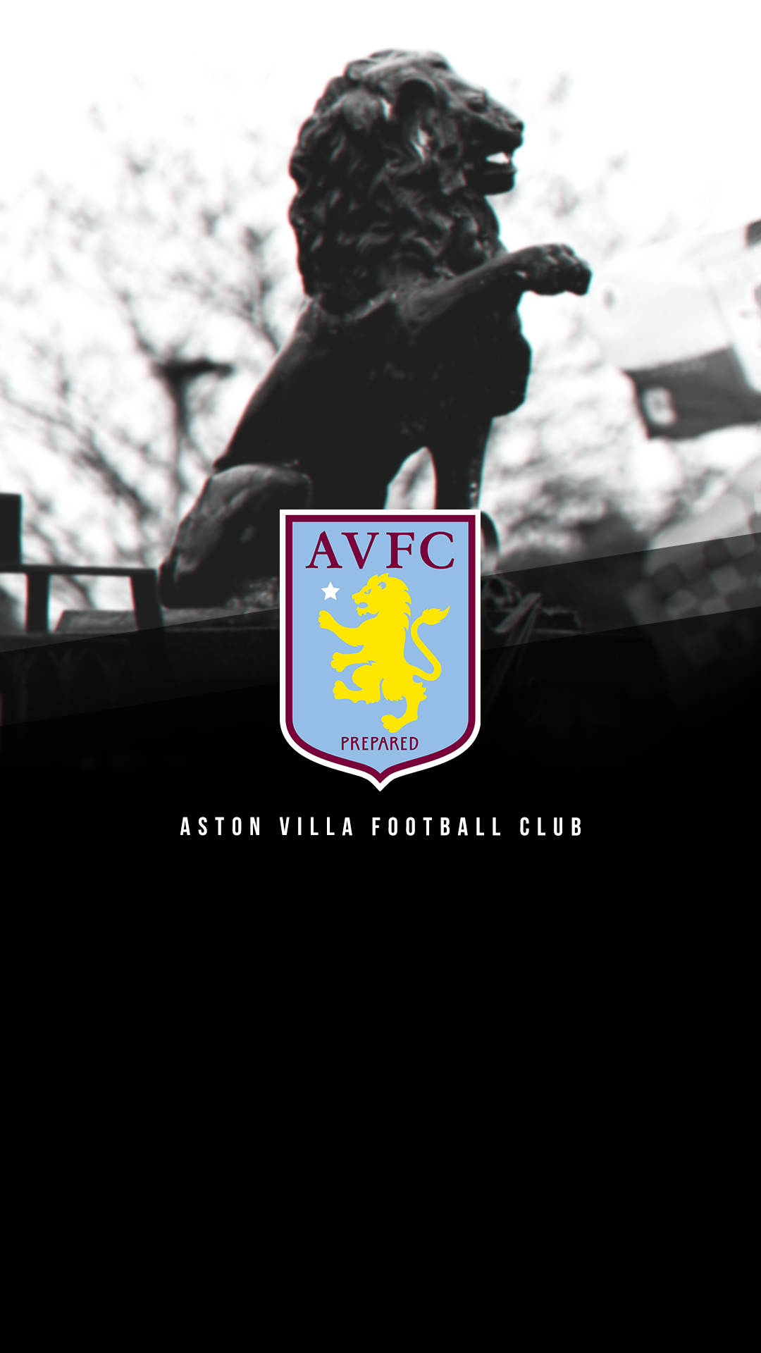 1080x1920 Download Aston Villa Lion Badge Wallpaper, Phone