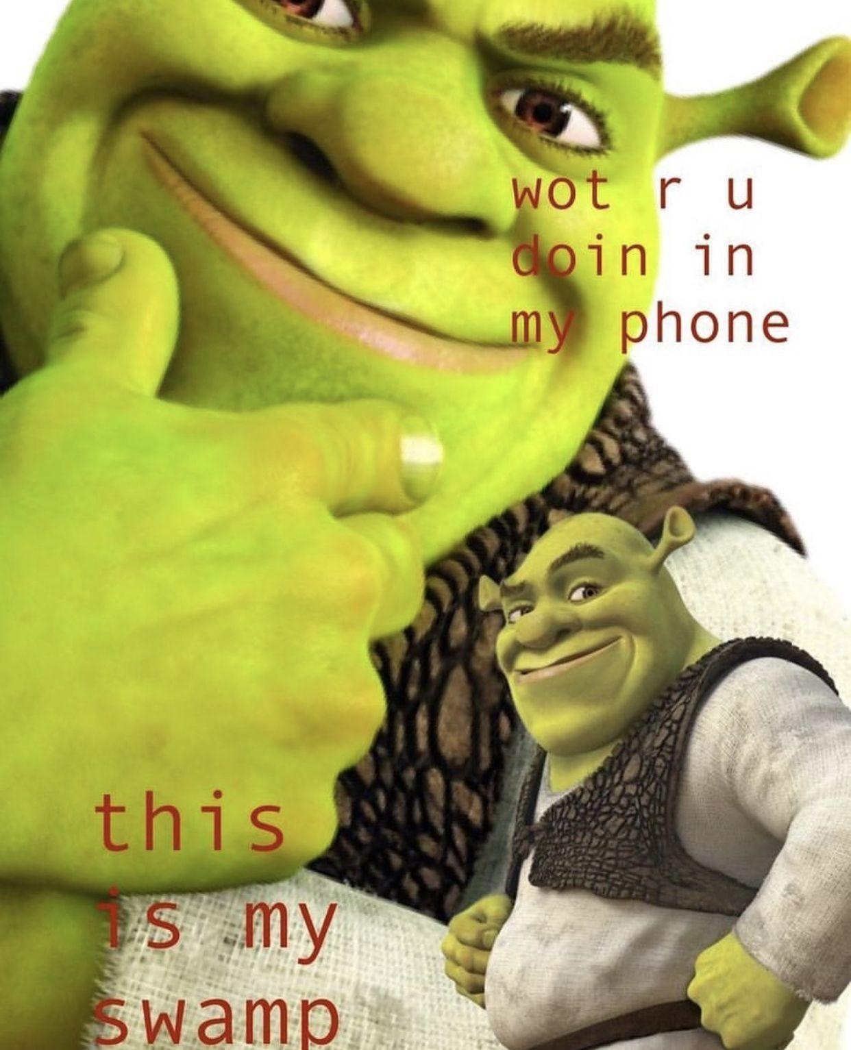 1250x1540 Memes. Shrek memes, Funny wallpaper, Shrek, Phone