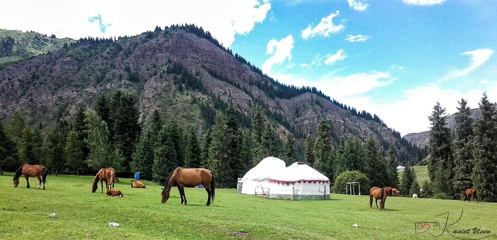 2050x990 kyrgyzstan and backgronds, Dual Screen