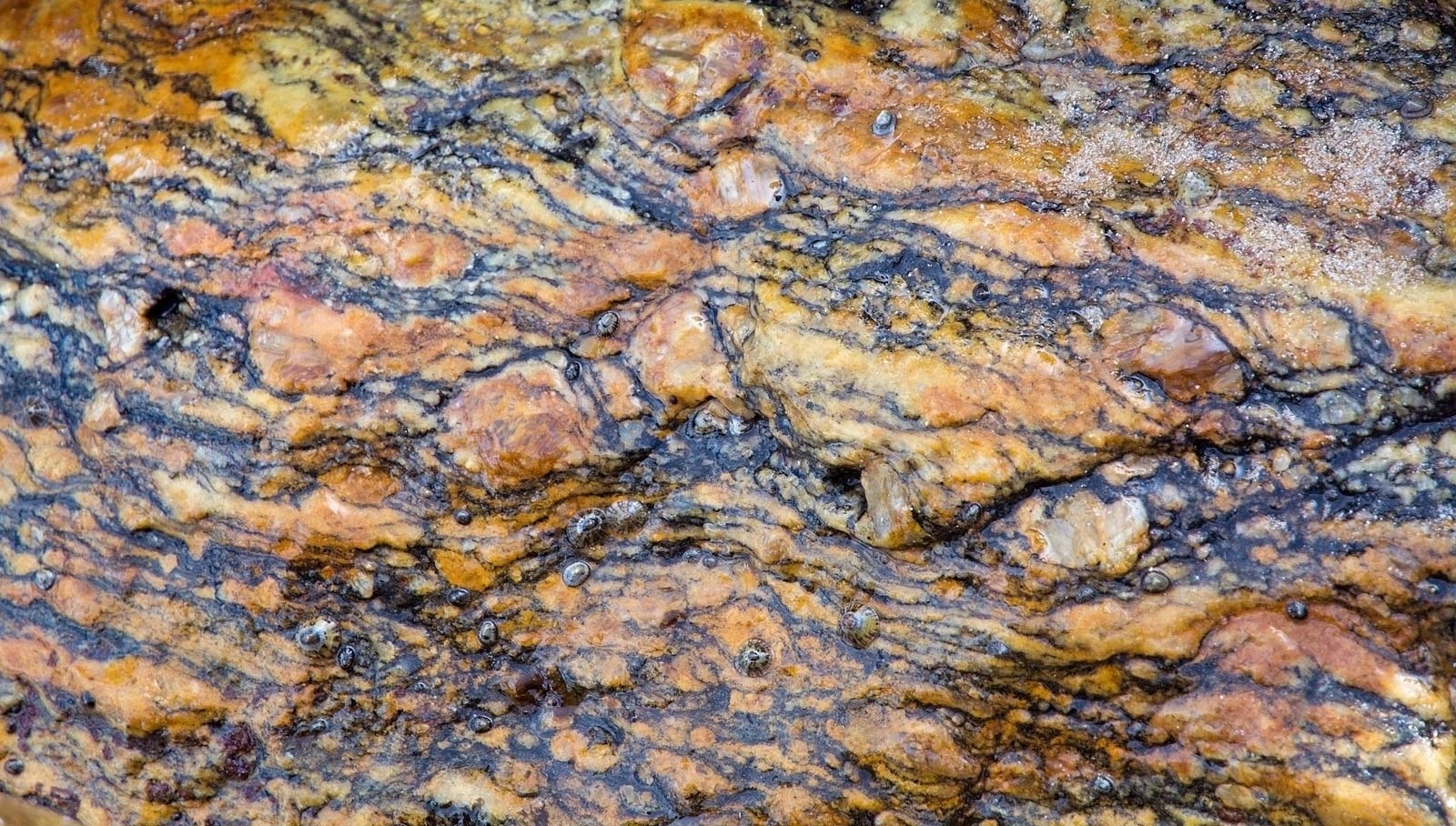 1600x910 metamorphic rock. Definition, Formation, & Facts, Desktop