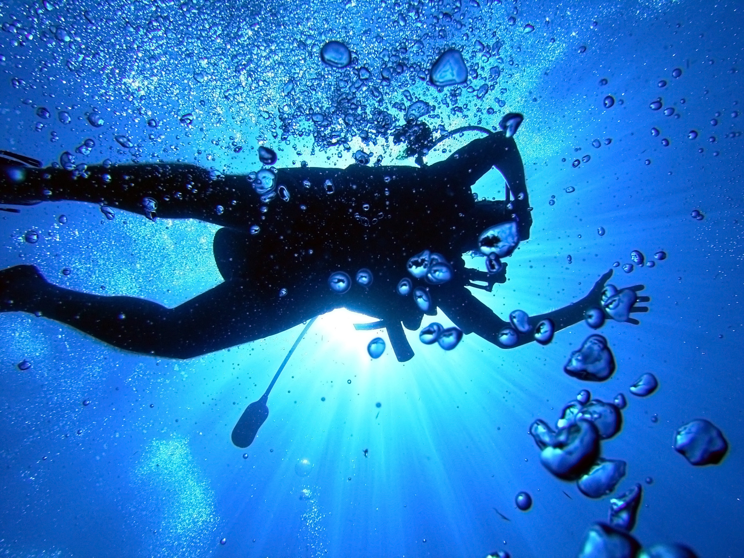 2600x1950 Scuba diving HD Wallpaper, Desktop