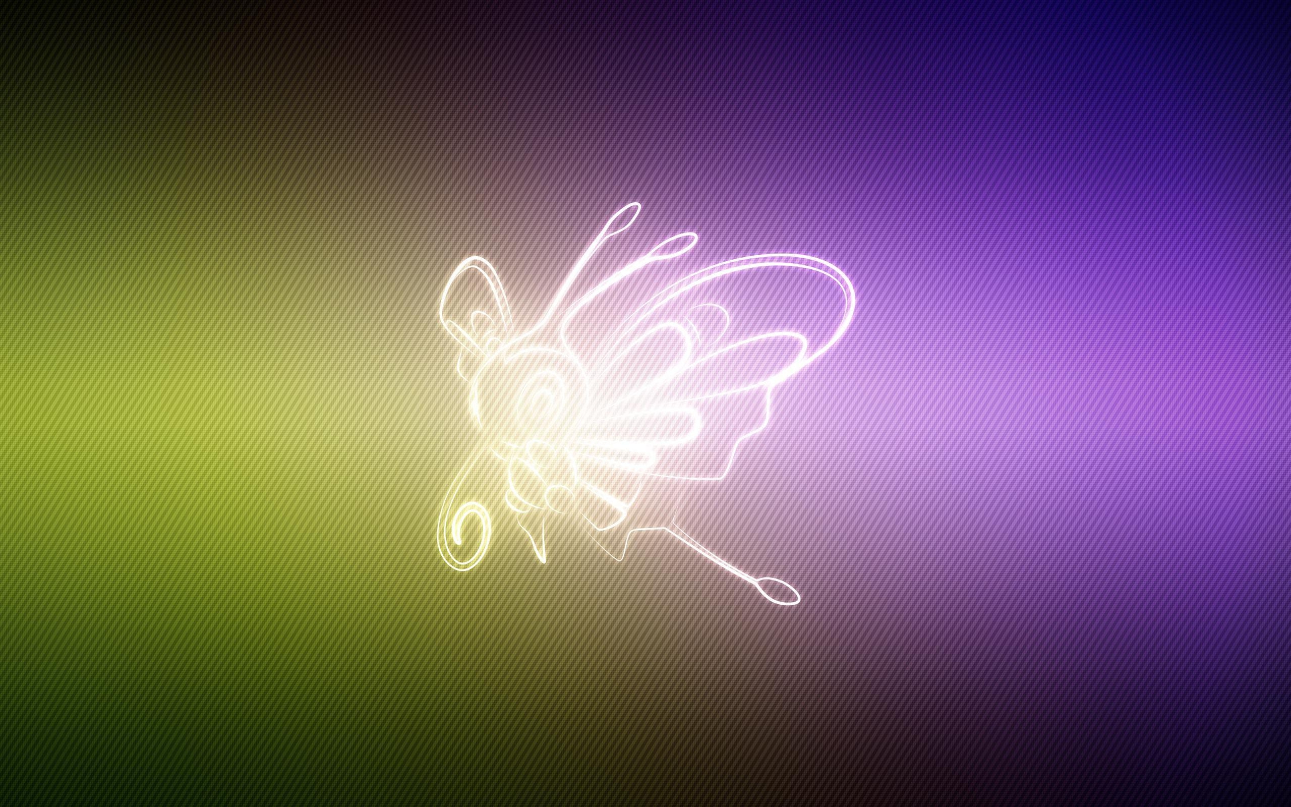 2560x1600 beautifly wallpaper, Desktop