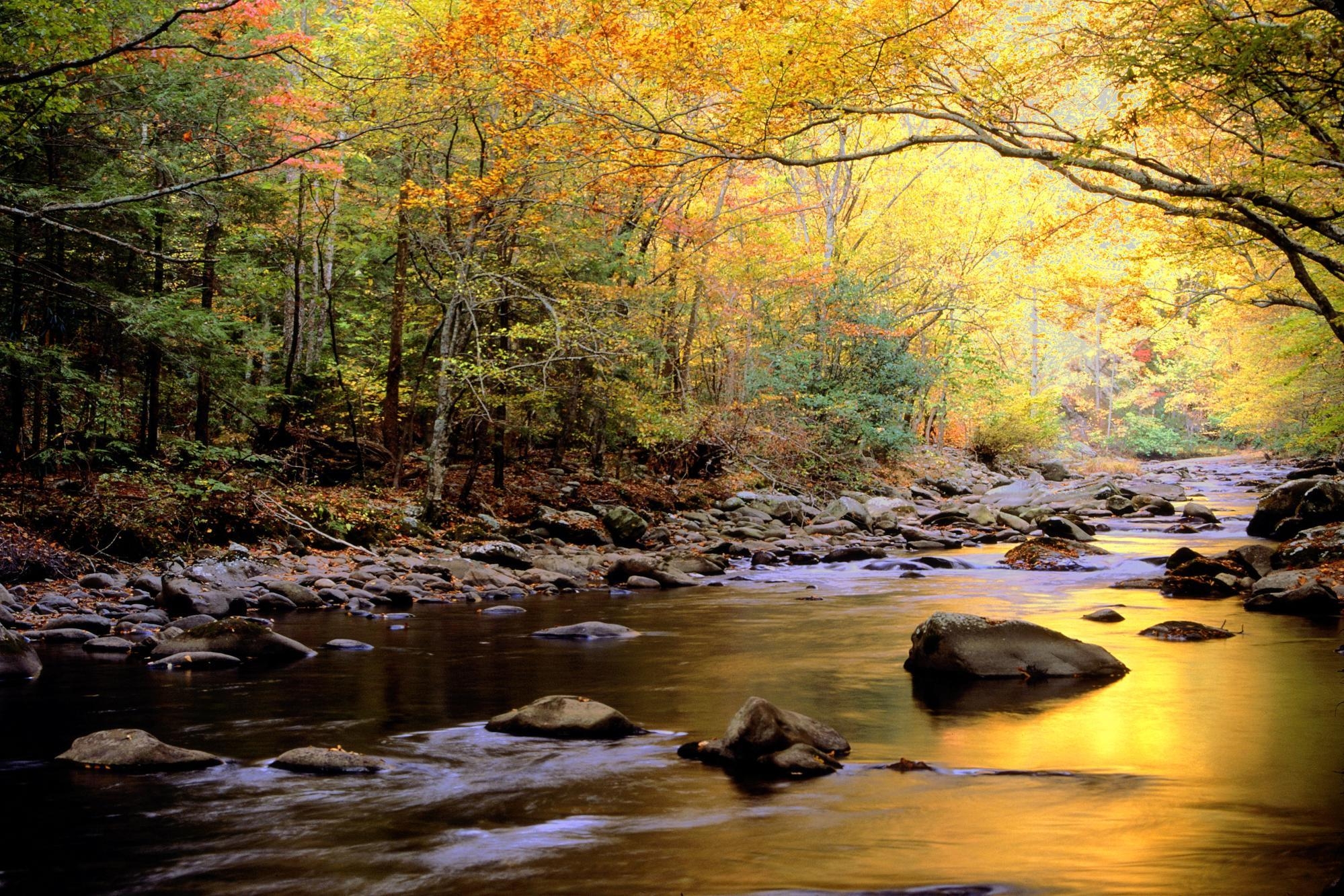 2000x1340 3648x2736px Great Smoky Mountains National Park 4478.58, Desktop