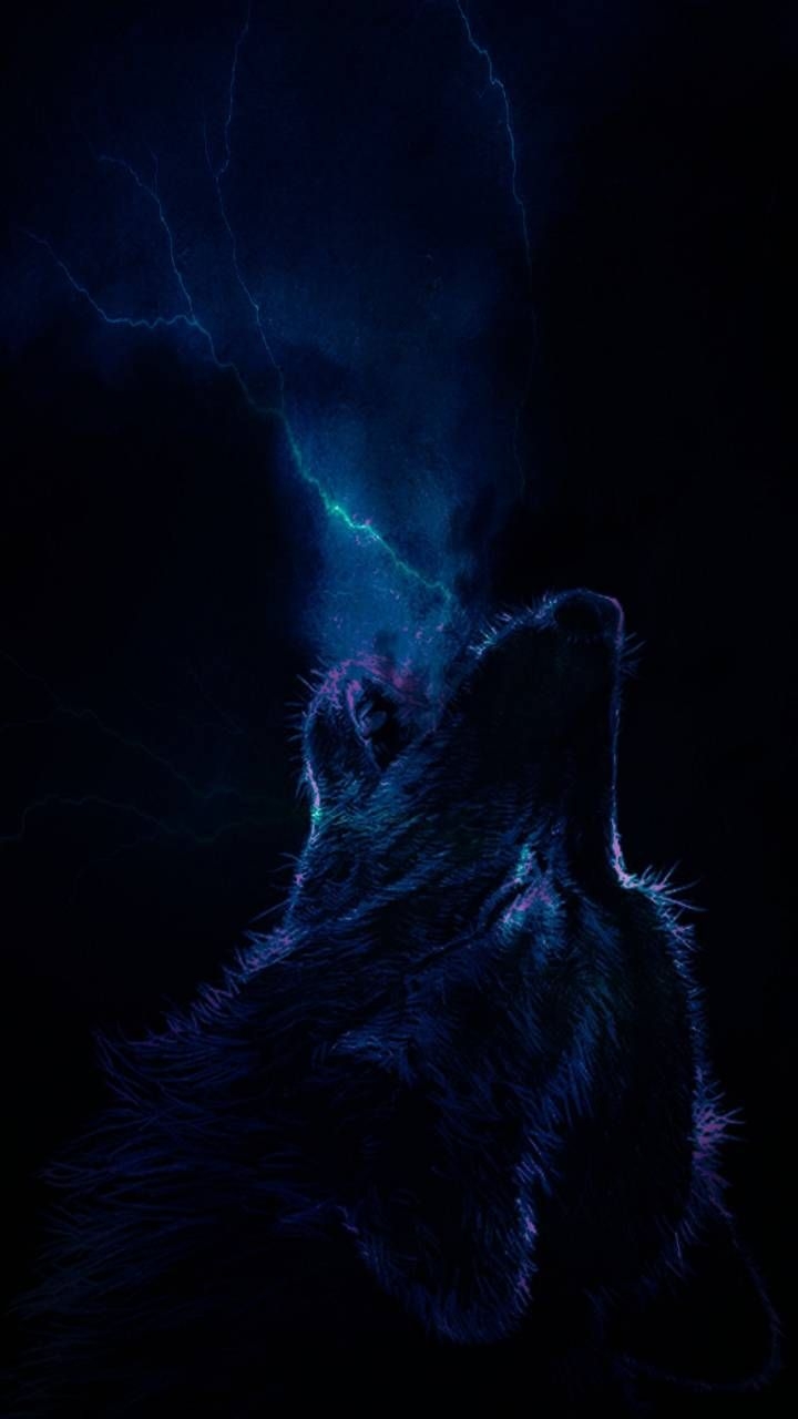 720x1280 Wolf wallpaper, Phone