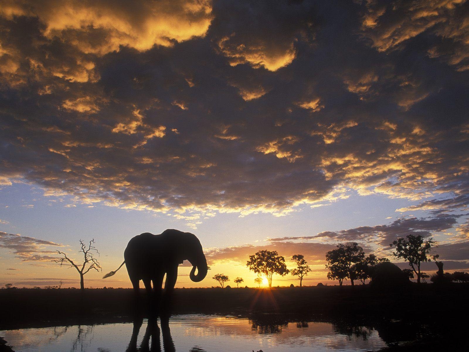 1600x1200 Botswana in Depth. Life / Joy / Travel, Desktop