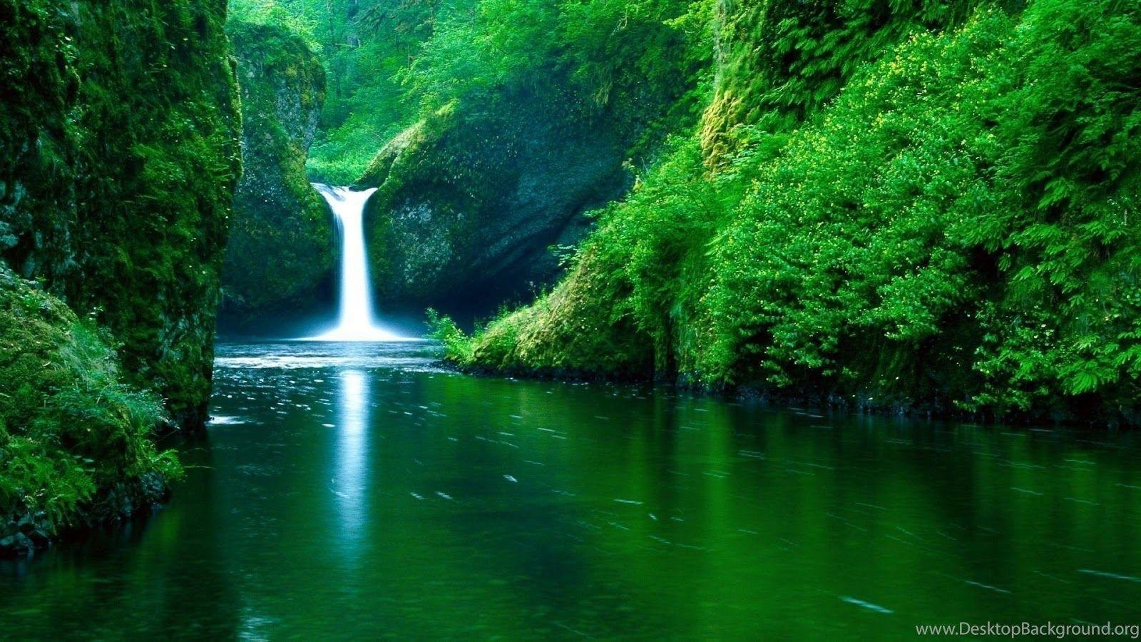 1600x900 Waterfall forest green full HD nature background wallpaper, Desktop