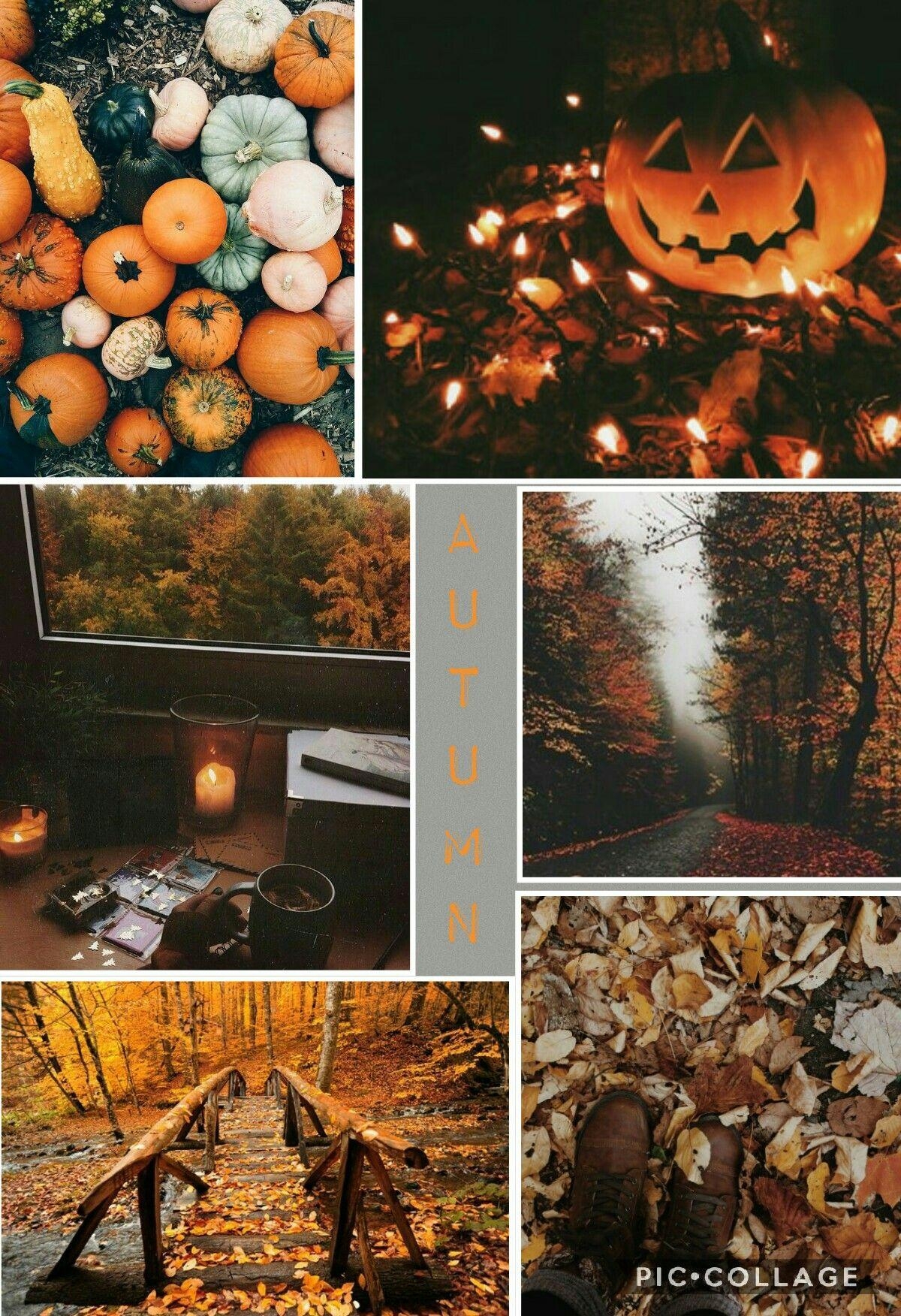 1200x1760 autumn #aesthetic #autumnaesthetic #vibes #autumnvibes #cozy #cute #warm. Autumn aesthetic, Autumn magic, Fall halloween, Phone