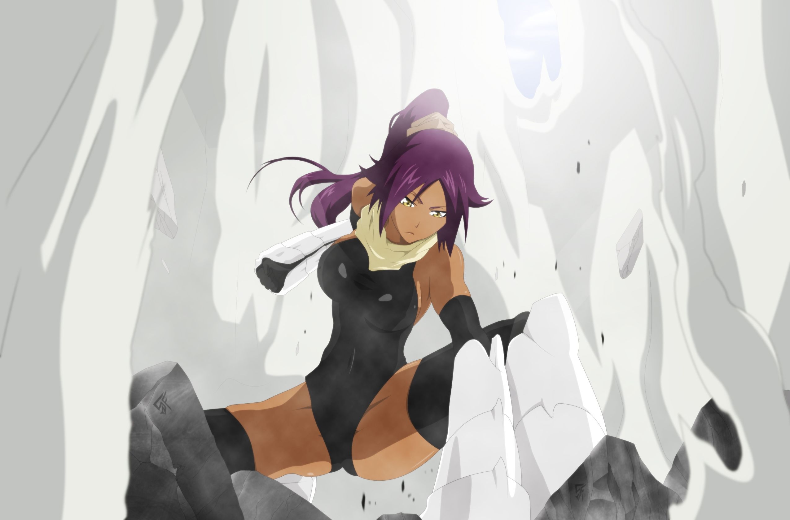 2550x1680 bleach, Shihouin, Yoruichi Wallpaper HD / Desktop and Mobile Background, Desktop