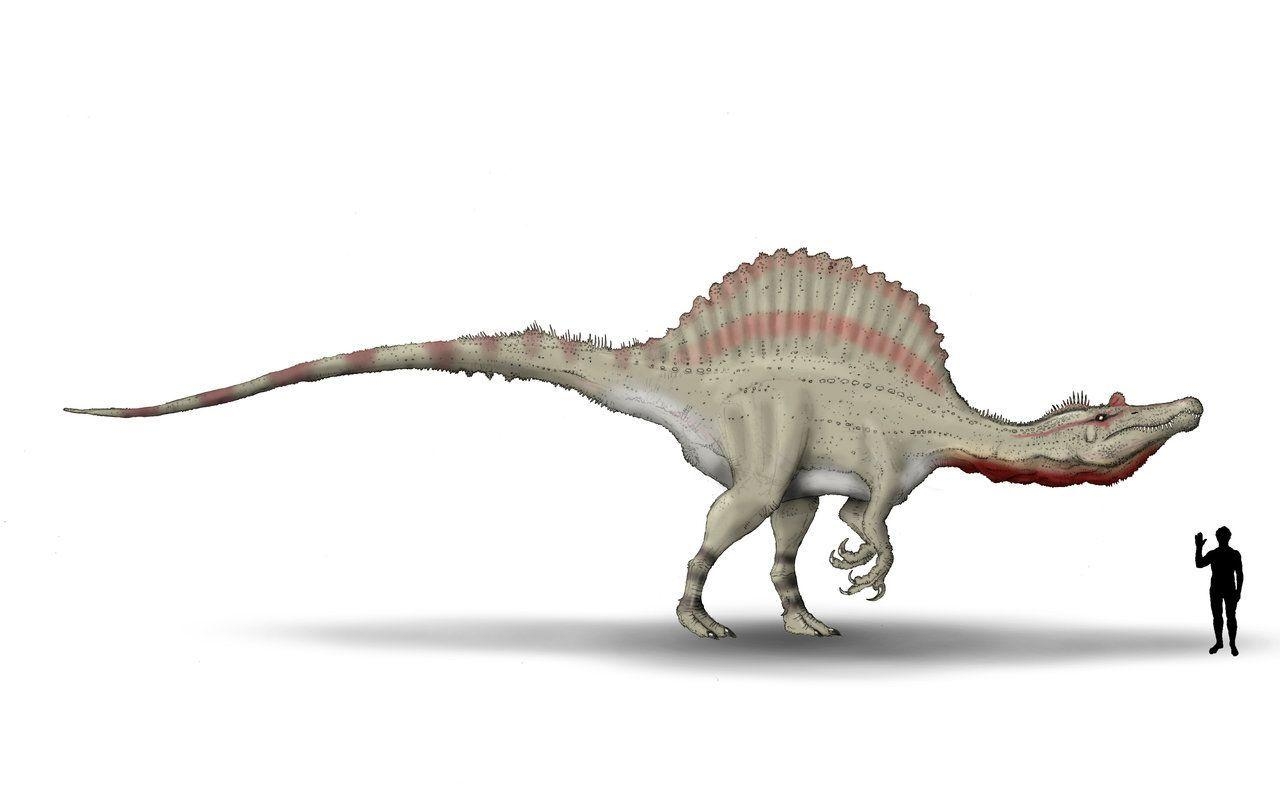 1280x800 Spinosaurus Wallpaper, Desktop