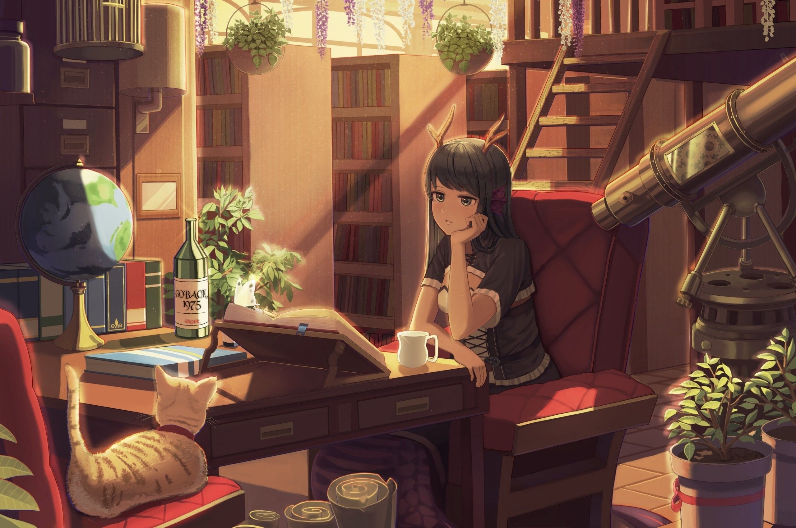 2560x1700 Download  Anime Girl, Horns, Neko, Room, Books, Library, Studying Wallpaper for Chromebook Pixel, Desktop