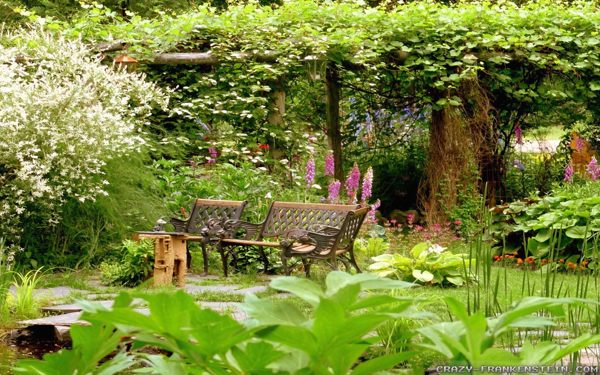 1920x1200 Collections Summer Garden Background, Desktop