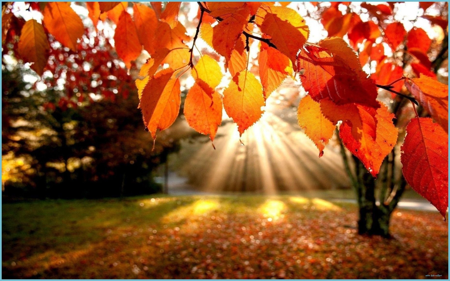 1870x1170 Hello Autumn Laptop Wallpaper Free Hello Autumn Laptop Laptop Wallpaper, Desktop