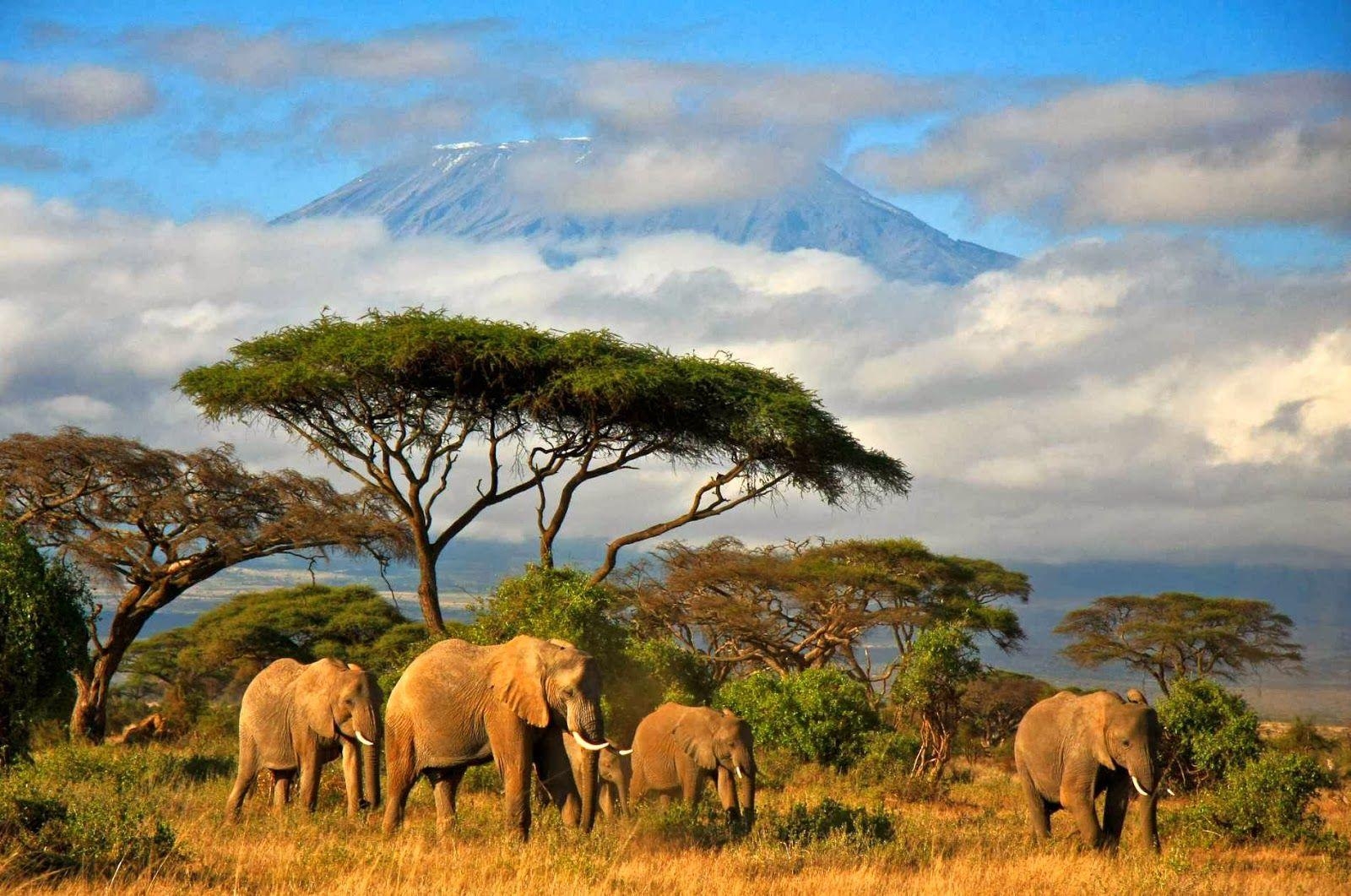 1600x1070 Computer Wallpaper, Desktop Background Tanzania, 363.18 KB, Desktop