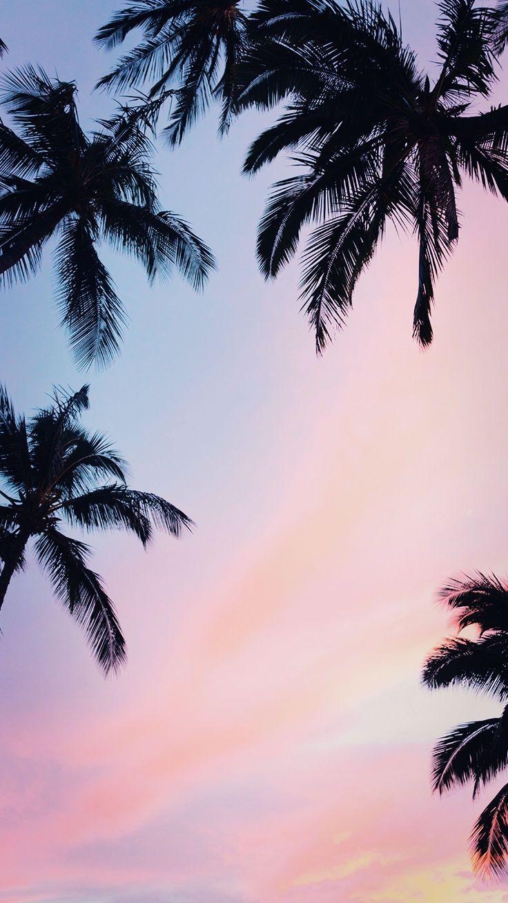 740x1310 Pretty Wallpaper For Your New iPhone Xs Max. Preppy Wallpaper. Sunset iphone wallpaper, Pastel iphone wallpaper, Palm trees wallpaper, Phone