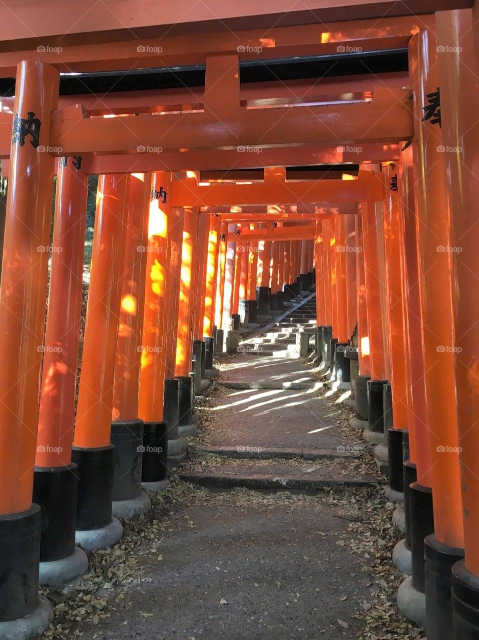 960x1280 Foap.com: Fushimi Inari Shrine, Kyoto, Phone