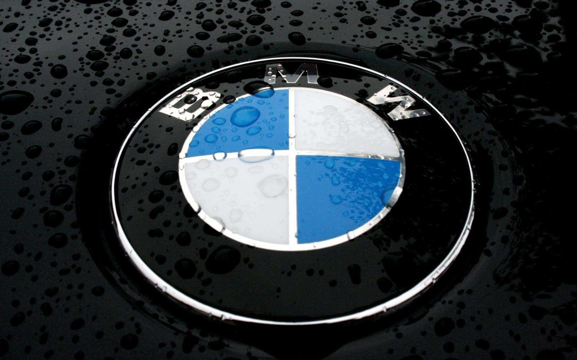 1920x1200 BMW Logo Wallpaper, Desktop