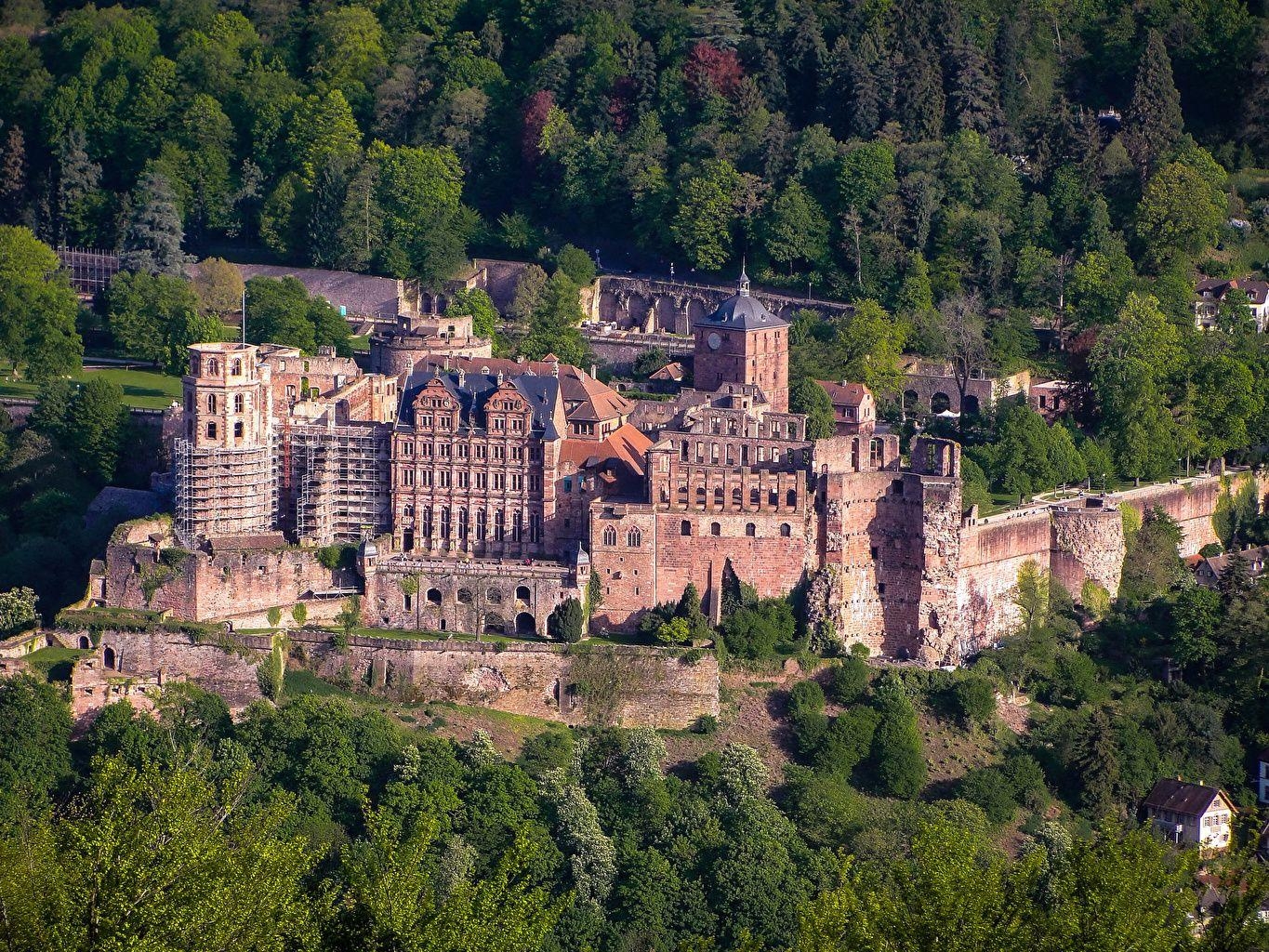 1370x1030 Wallpaper Germany Heidelberg Castle Castles Trees Cities, Desktop