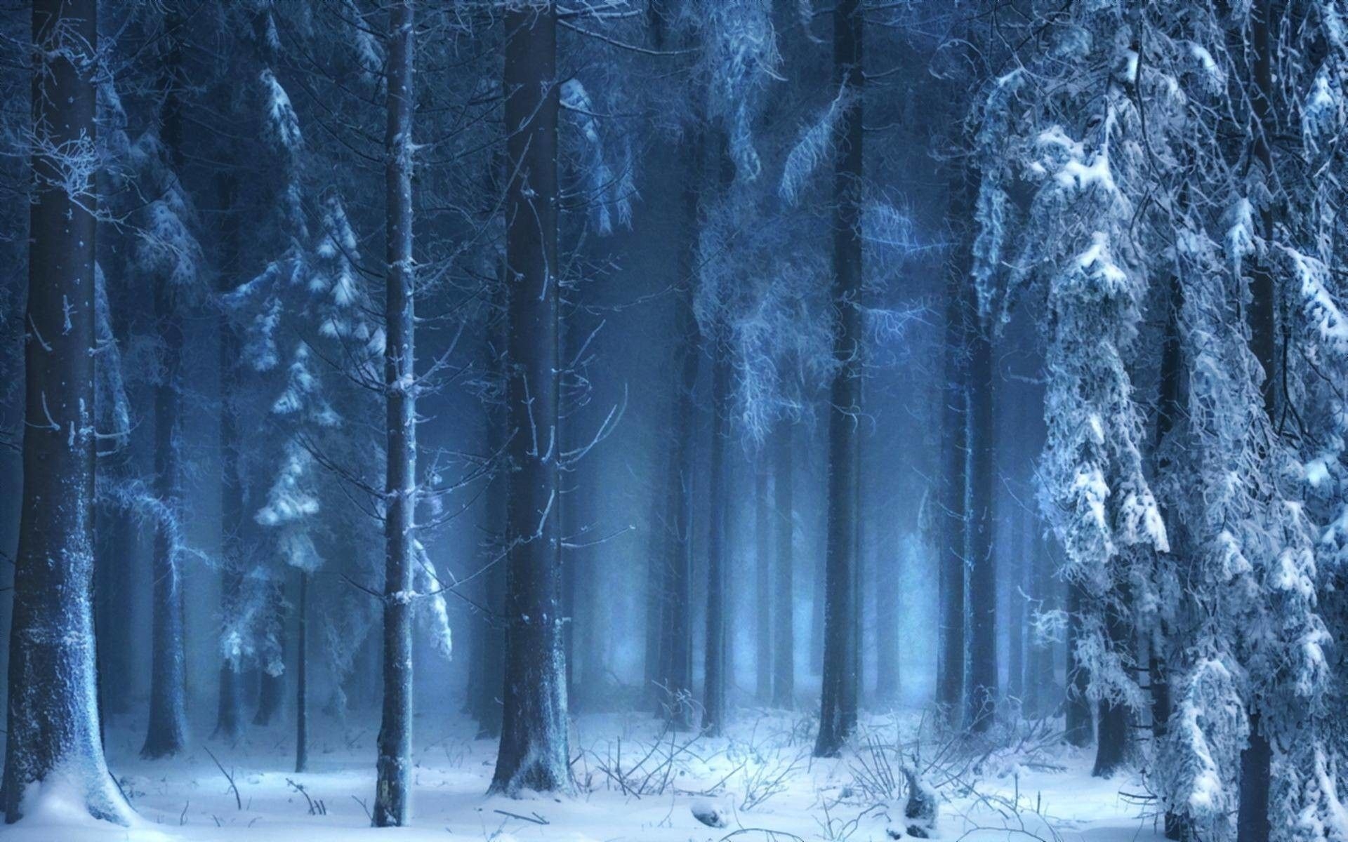 1920x1200 Dark Winter Wallpaper Free Dark Winter Background, Desktop