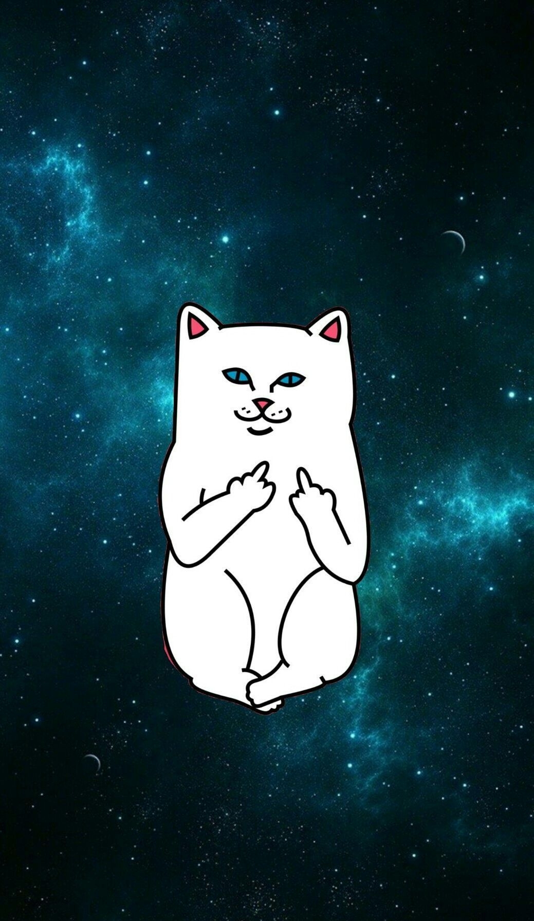 1040x1800 Cat Showing Middle Finger Wallpaper.wallpaperaccess.com, Phone