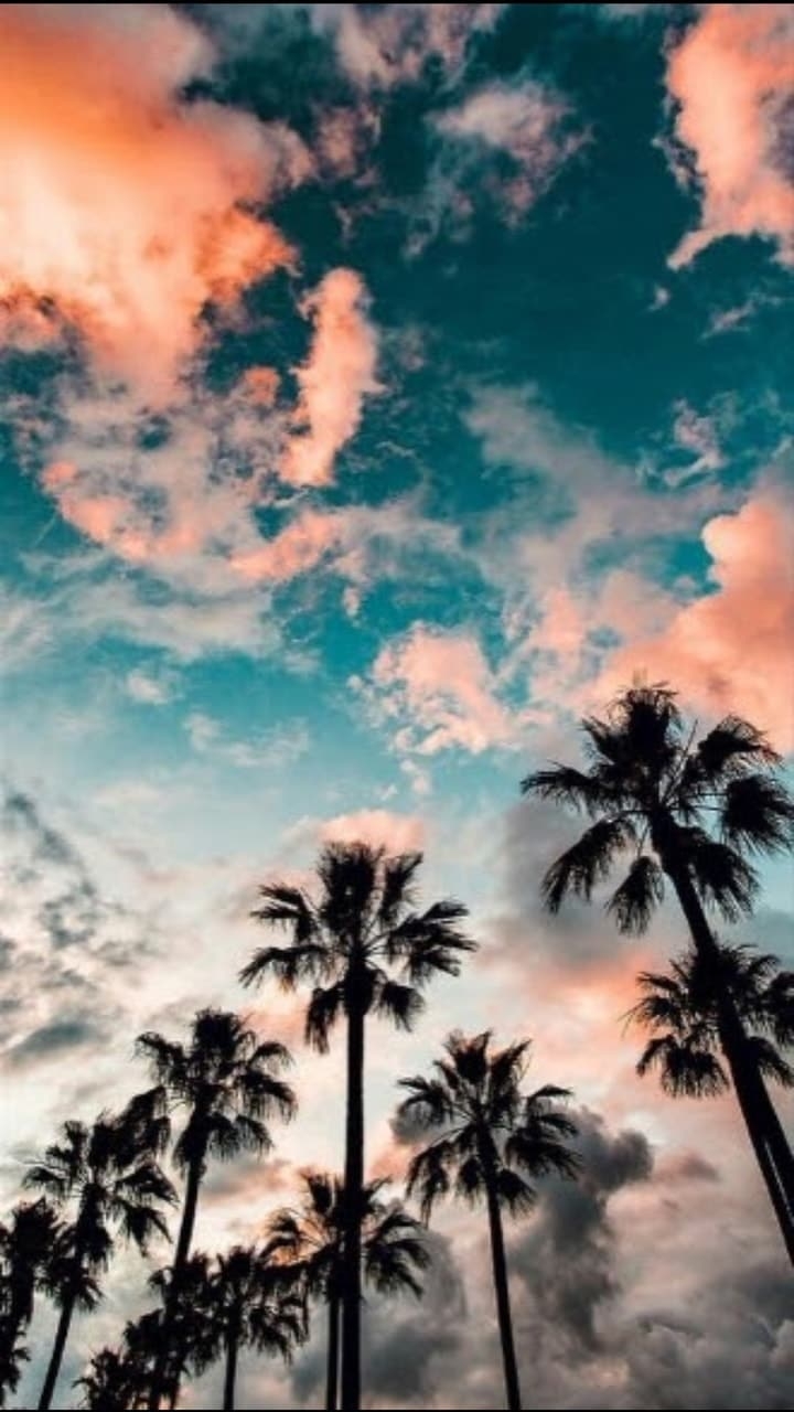 720x1280 Summer Aesthetic Wallpaper, Phone