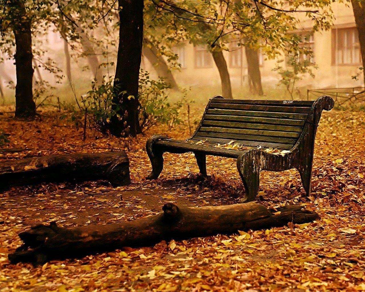 1280x1030 Fall HD Wallpaper. Fall Picture. Autumn Wallpaper. Cool, Desktop