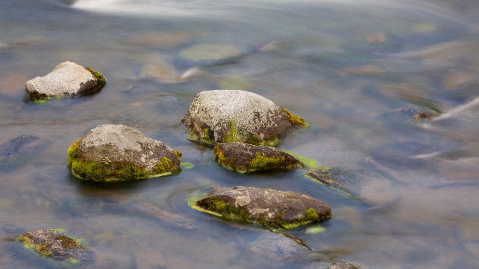 1600x900 Katmai National Park and Preserve Picture: View Photo & Image, Desktop