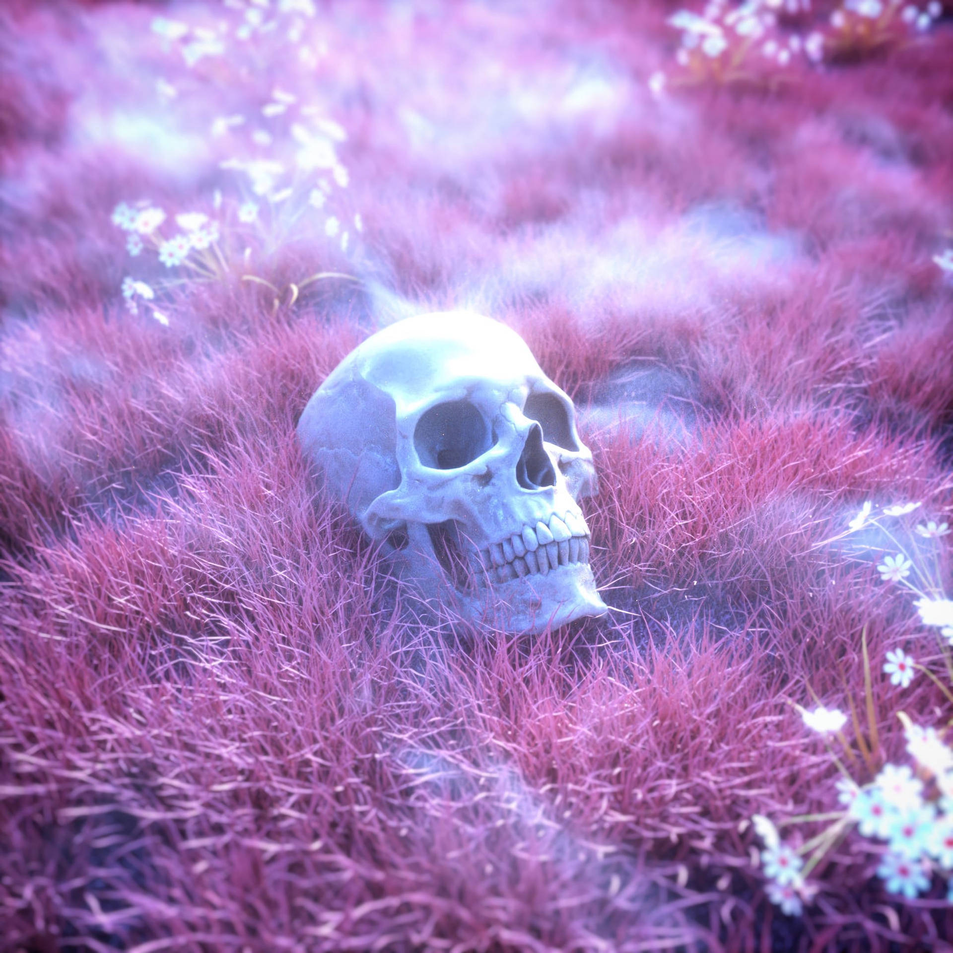 1920x1920 Download Skeleton Pink Skull Wallpaper, Phone