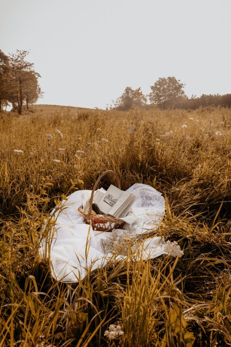 800x1200 Idyllic Cottagecore Wallpaper For Your iPhone, Phone