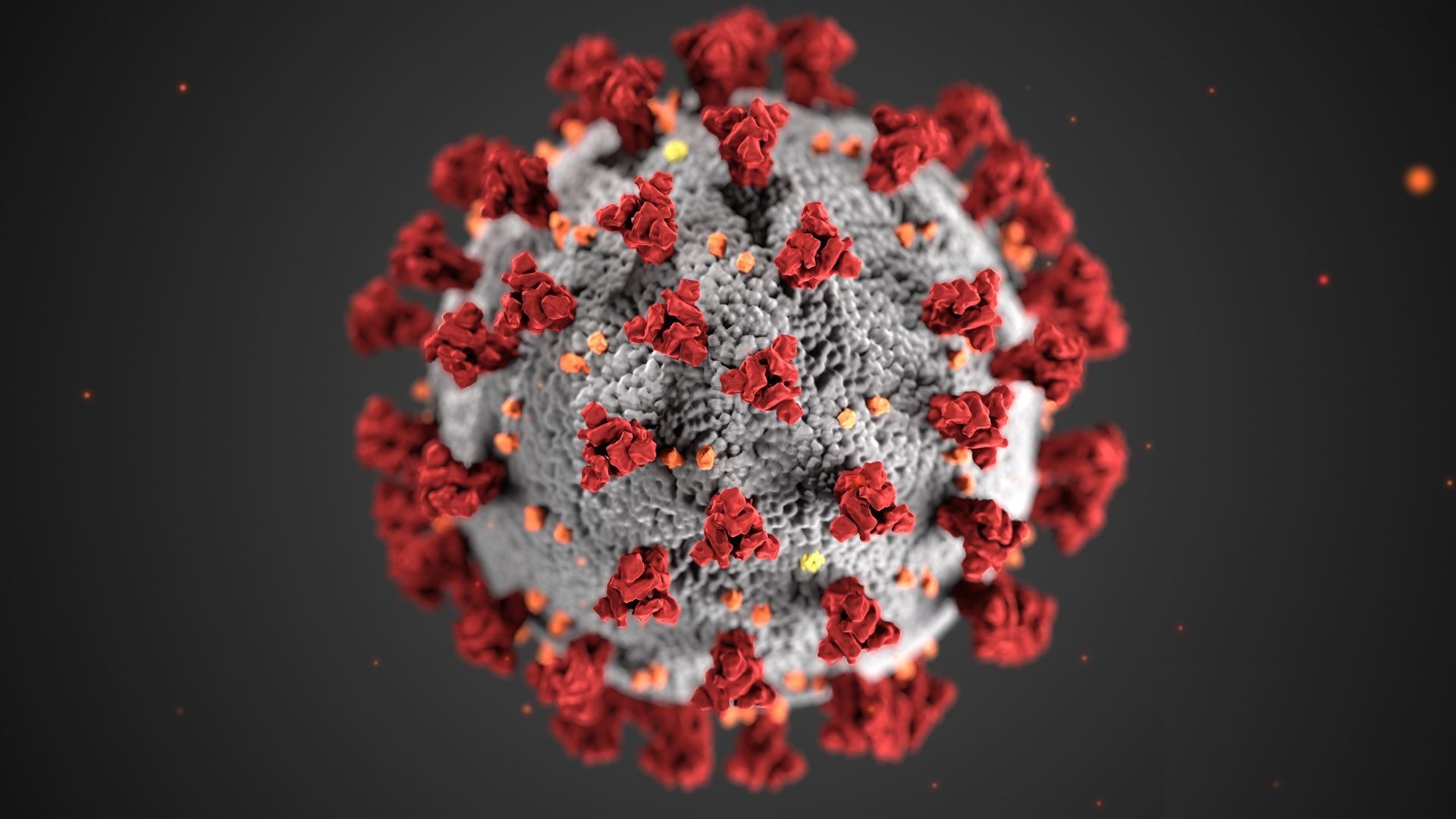 1920x1080 Coronavirus 2019 (COVID 19). Muscatine, IA, Desktop