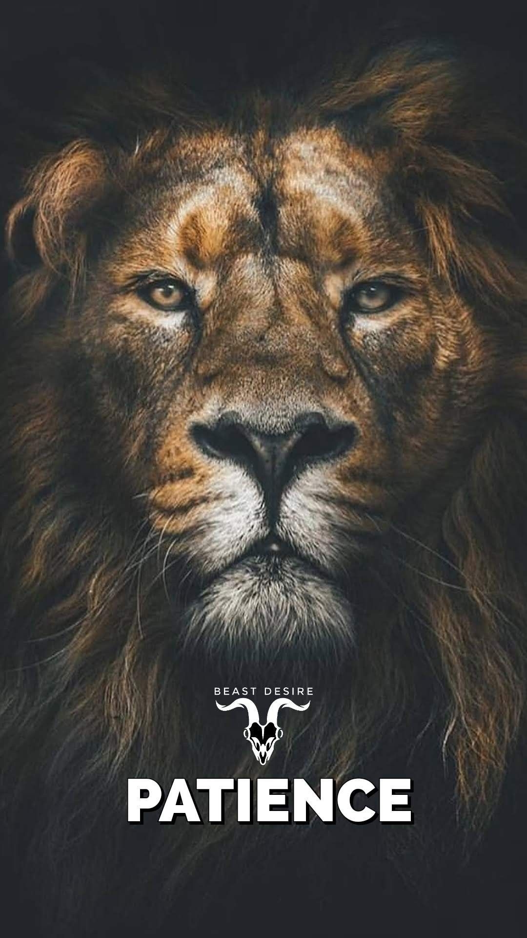 1080x1920 Beast Desire Wallpaper. Animal quotes, Beast quotes, Beast wallpaper, Phone