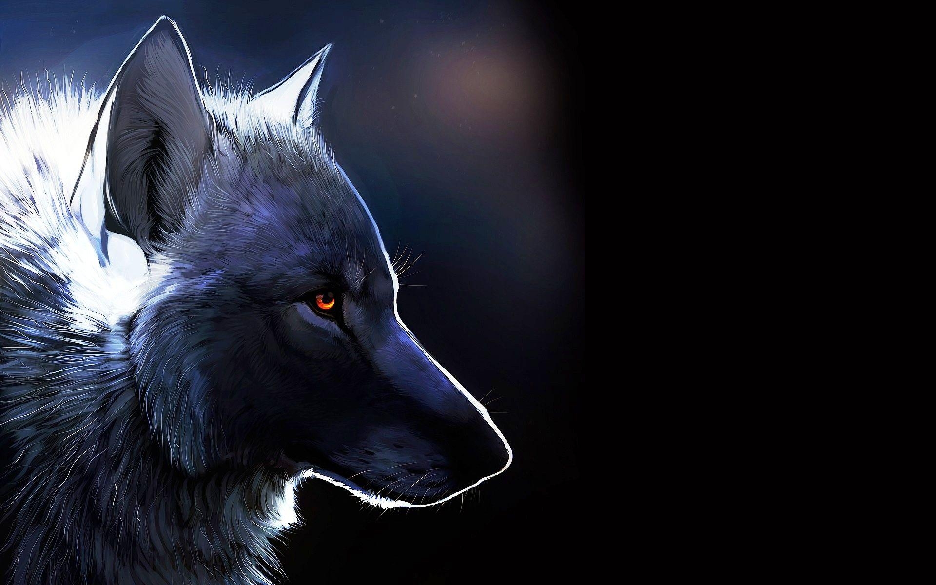 1920x1200 Wolf HD Wallpaper, Desktop