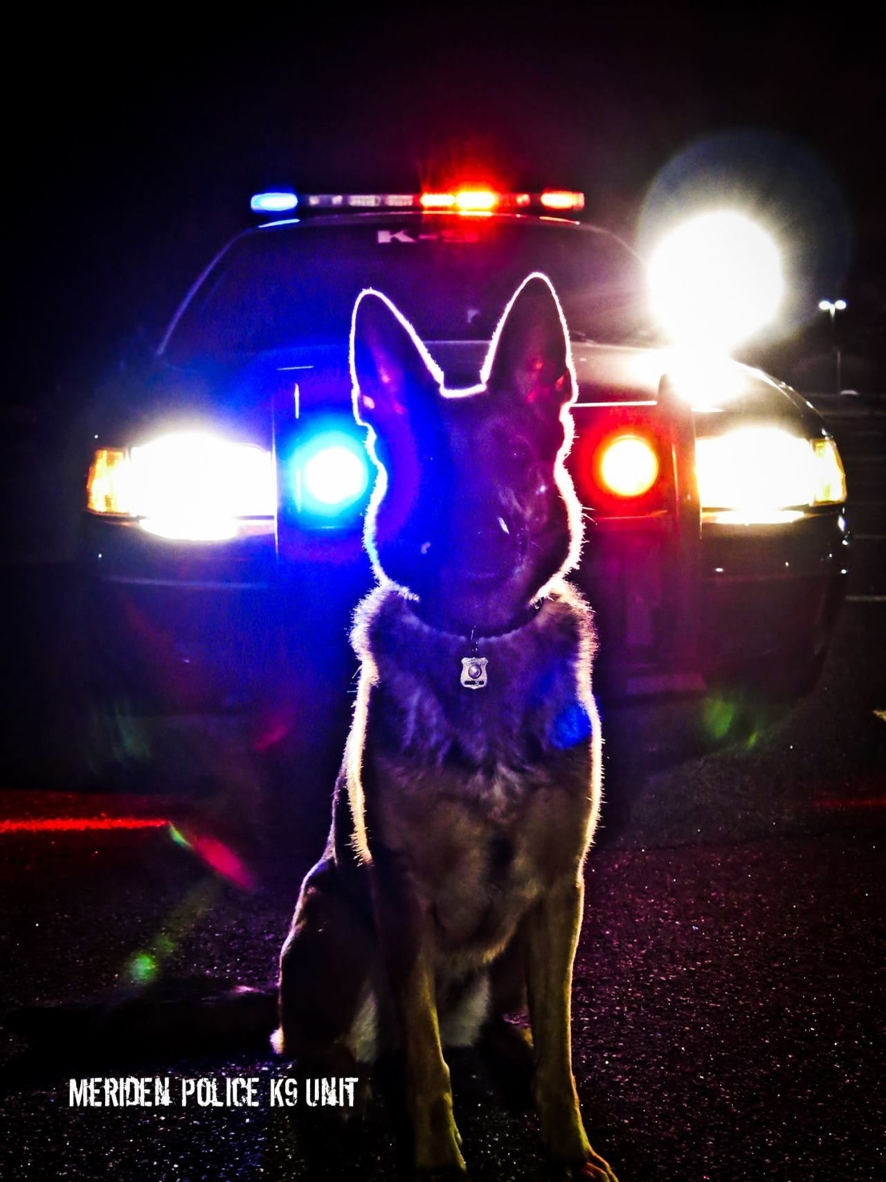 1280x1710 Law Enforcement Police K9, Phone