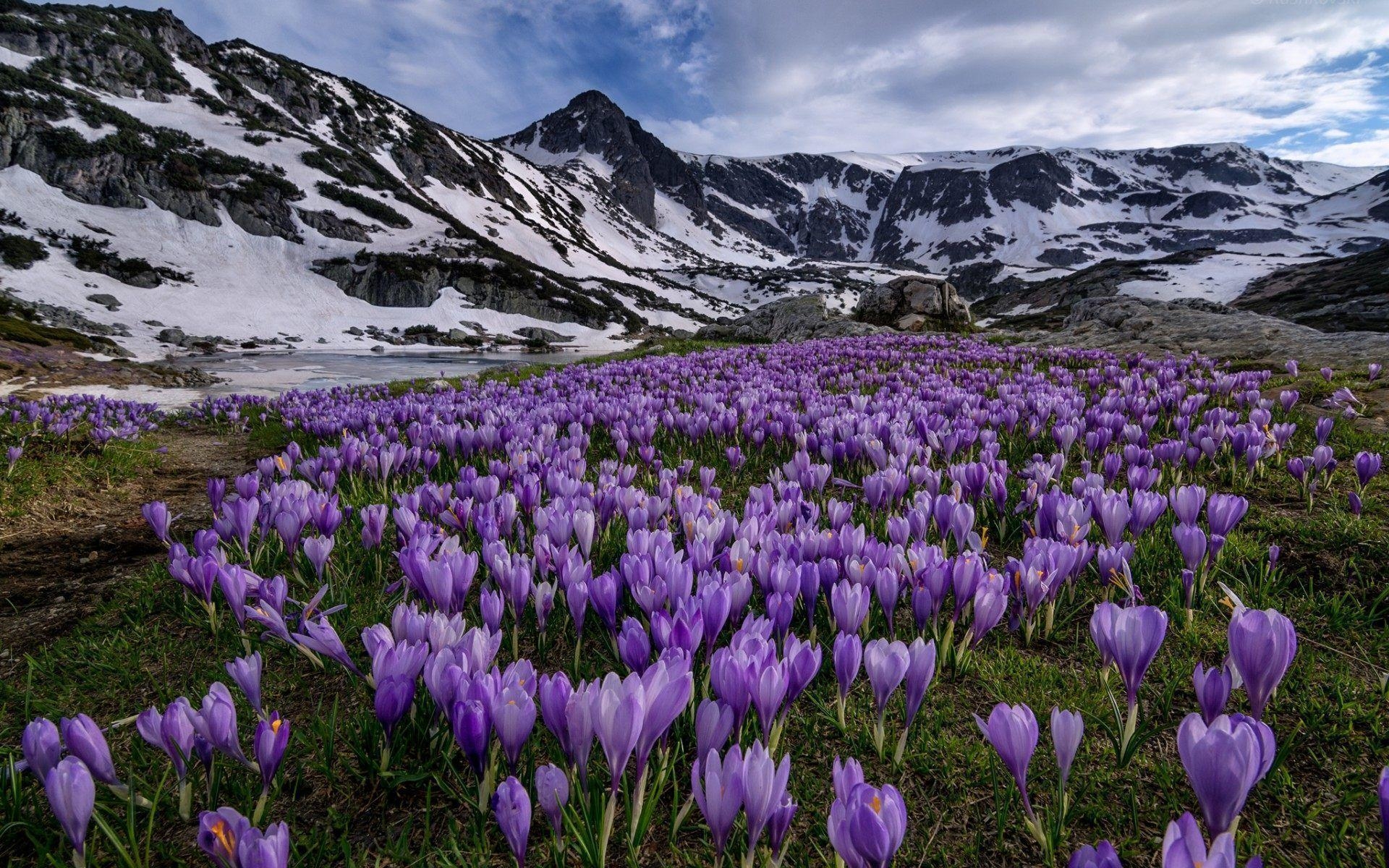1920x1200 Bulgaria wallpaper HD, Desktop