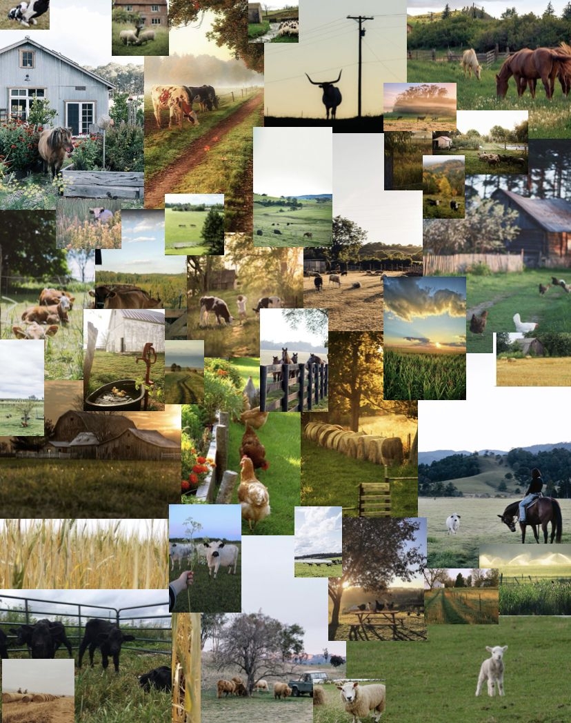 830x1050 FARM COLLAGE, Phone