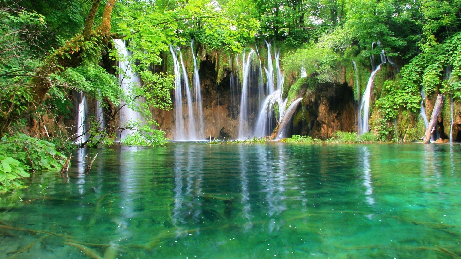 1920x1080 HD Jungle Wallpaper, Desktop