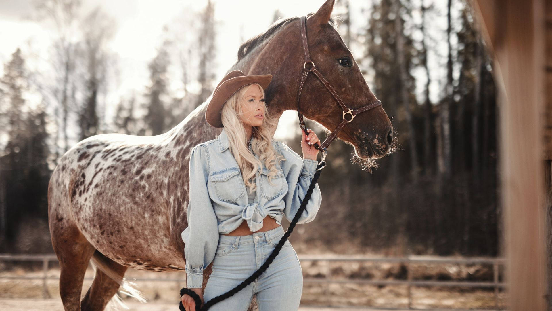 1920x1080 Download Cowgirl Holding A Horse Wallpaper, Desktop