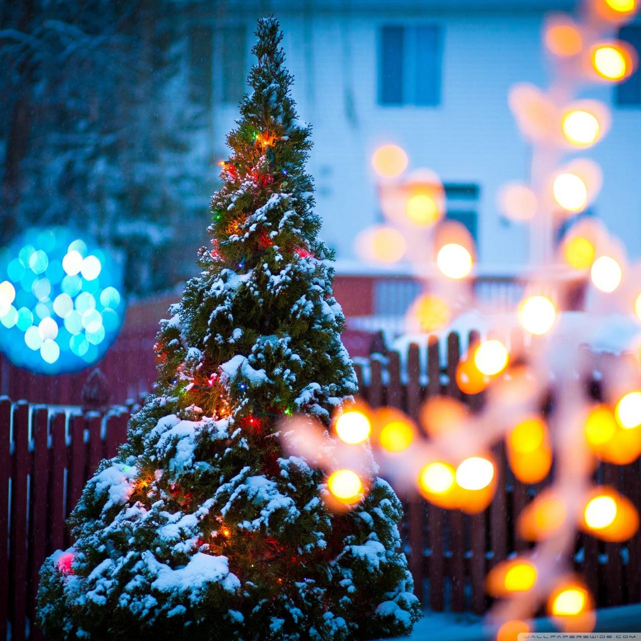 1280x1280 Christmas tree wallpaper, Phone