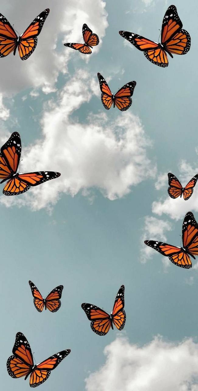 660x1280 Aesthetic butterfly wallpaper, Phone