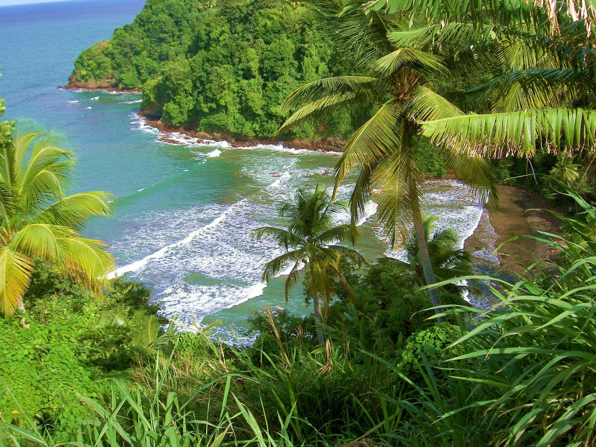 2050x1540 Beach: Paradise Dominica Beautiful Palms Ocean Side Beach East, Desktop