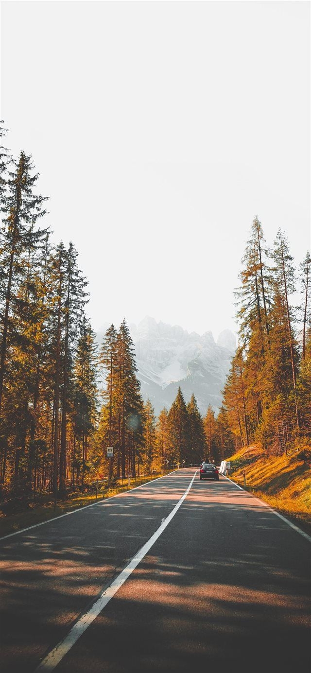 640x1390 South Tyrol 1 iPhone X wallpaper #nature #street #outdoor #roadtrip #SouthTyrol #natureautumn. iPhone wallpaper fall, Fall wallpaper, iPhone wallpaper vintage, Phone