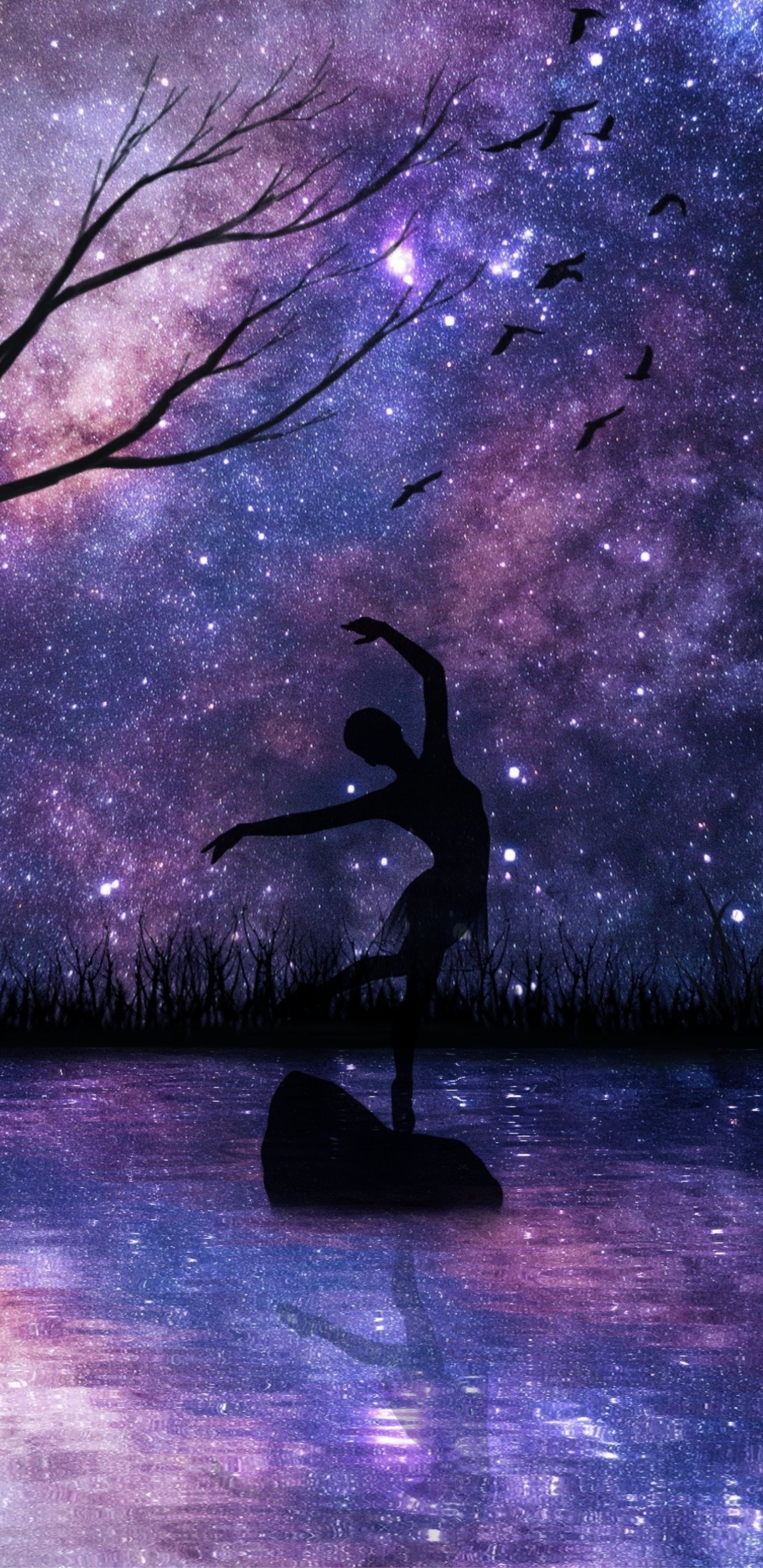 1440x2960 Starry Night, Girl Dance, Silhouette, Art, Wallpaper, Phone