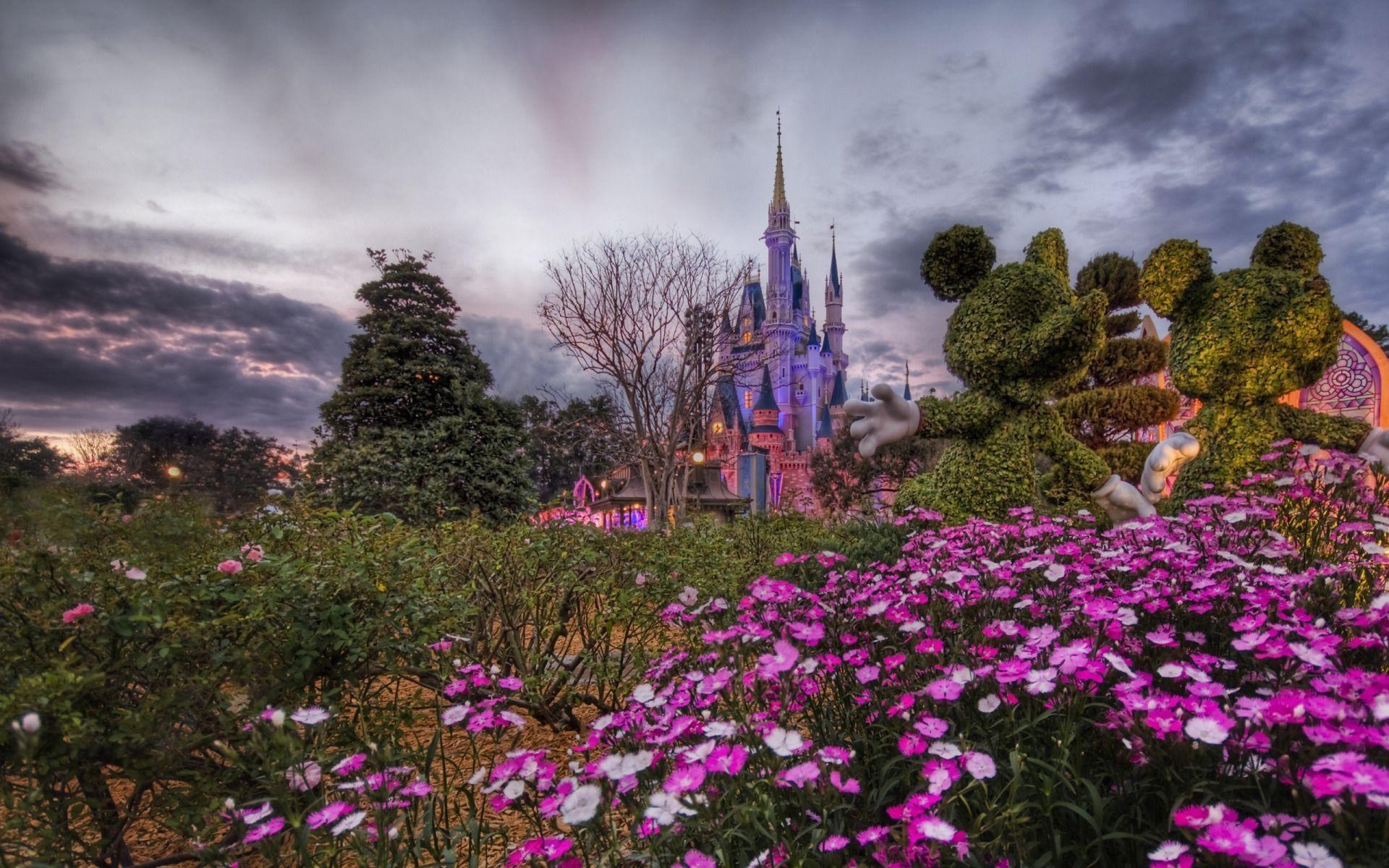 1920x1200 Disney World Flower Desktop Wallpaper. Places to Visit, Desktop