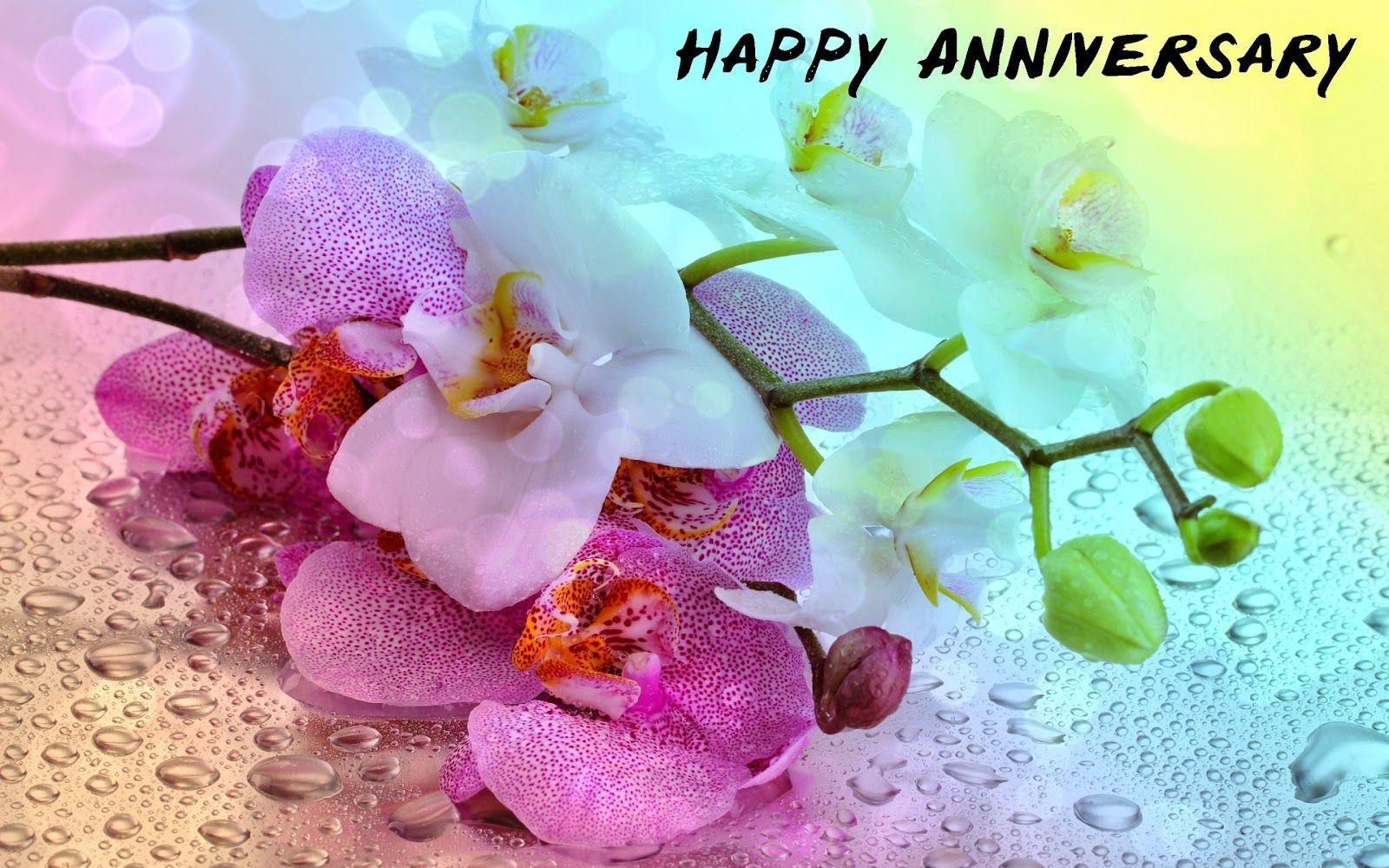 1600x1000 Best Happy Anniversary Image, Picture and Photo, Desktop