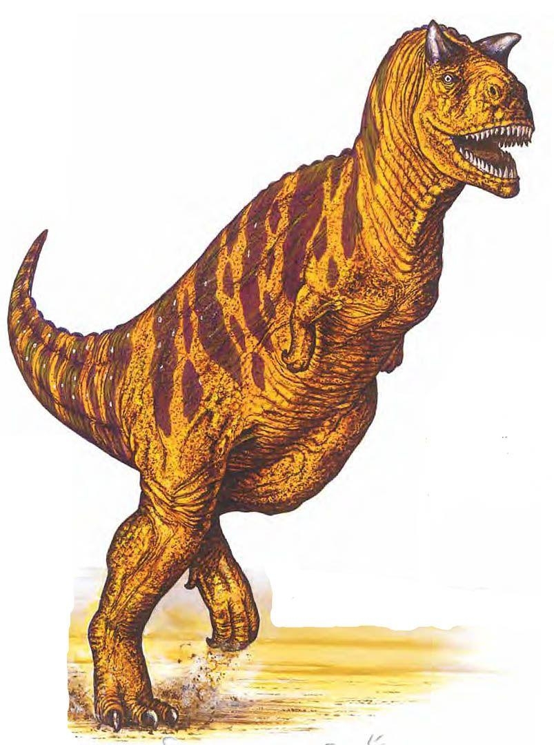 810x1080 Carnotaurus, Phone