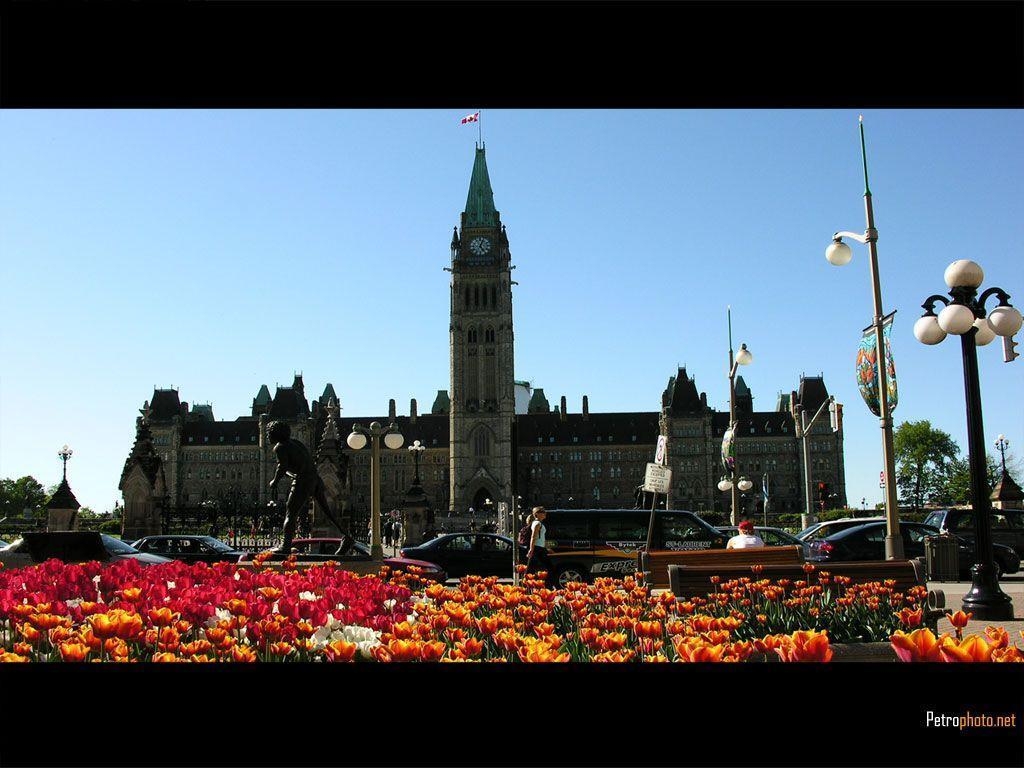 1030x770 Wallpaper Ottawa 1152x864 #ottawa, Desktop