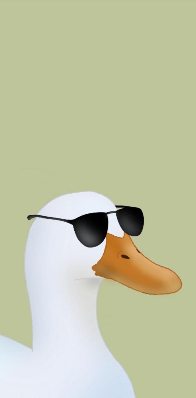 630x1280 Duck with sunglasses wallpaper, Phone