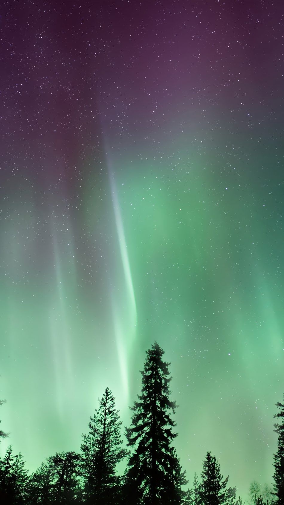 950x1690 Amazing Northern Lights Aurora Borealis 4K Ultra HD Mobile Wallpaper. Northern lights, Northern lights (aurora borealis), Wallpaper, Phone