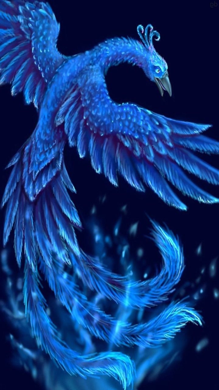 720x1280 precursor phoenix wallpaper note 10 f13 s11 wallpaper 104, Phone